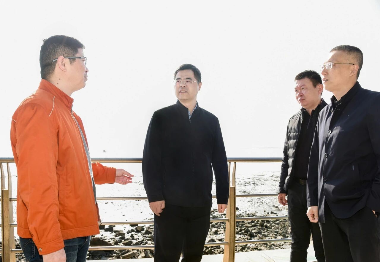 丰泽区政府主要领导调研生态环保和水环境综合治理工作