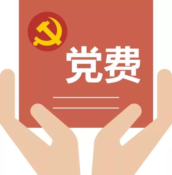 丰泽在行动11划拨党费强化督导织密宣传网各级各部门防疫不松懈