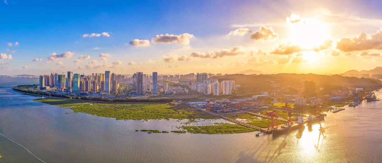 再学习再调研再落实凝心聚力谋发展区领导到东海街道开展专题调研